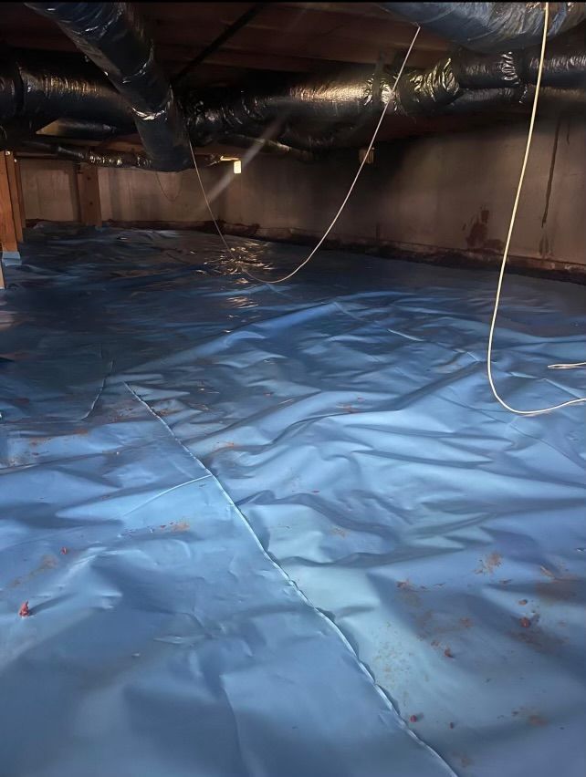 Basement renovation project